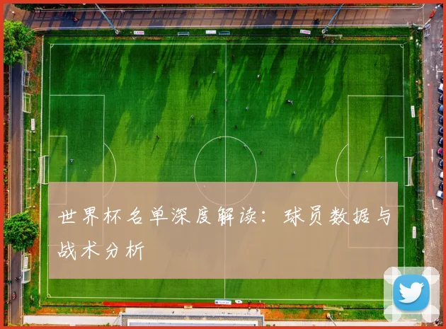 世界杯名单深度解读:球员数据与战术分析