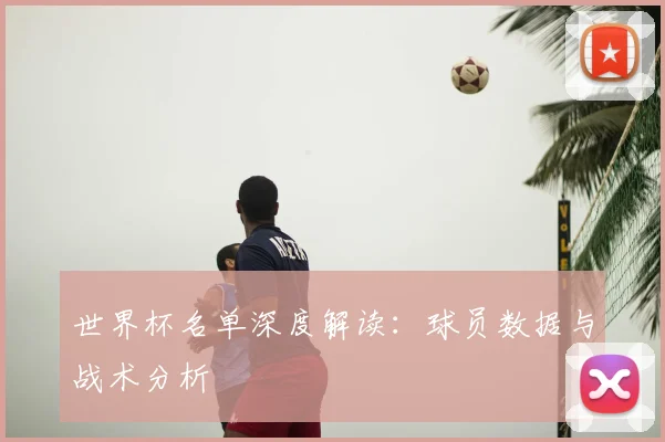 世界杯名单深度解读:球员数据与战术分析