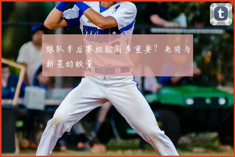 球队季后赛经验有多重要?老将与新星的较量