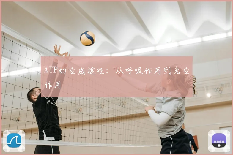 ATP的合成途径：从呼吸作用到光合作用